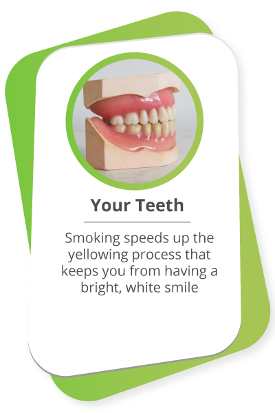 Your Teeth: Smoking speeds up the yellowing process that keeps you from having a bright, white smile